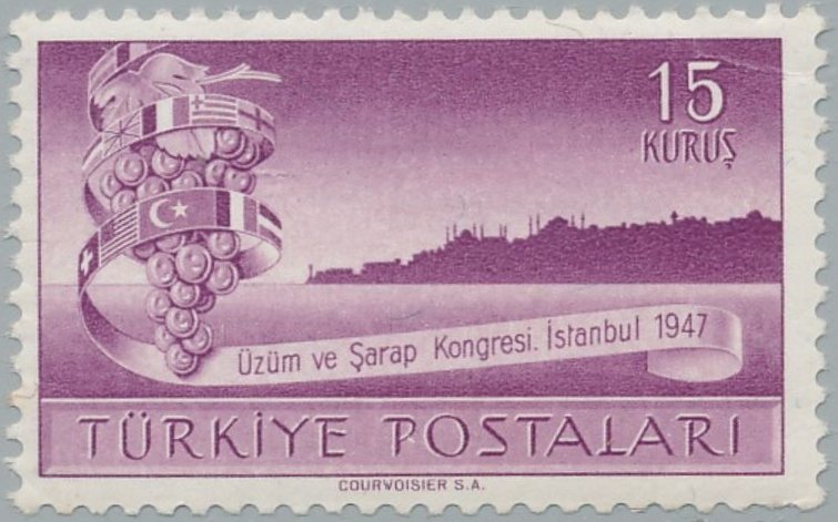 Grapes and Istanbul Skyline