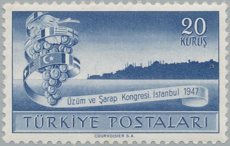 Grapes and Istanbul Skyline