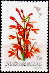 Stamp, Lobelia cardinalis, Hungary,  , Flowers