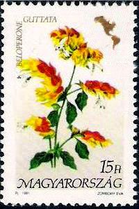 Stamp, Beloperone guttata, Hungary,  , Flowers