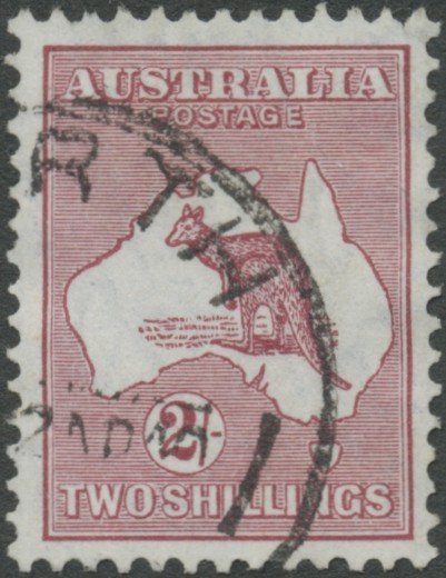 Kangaroo and map