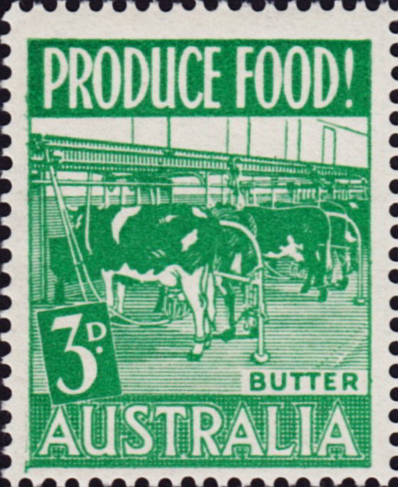 Cows. Butter