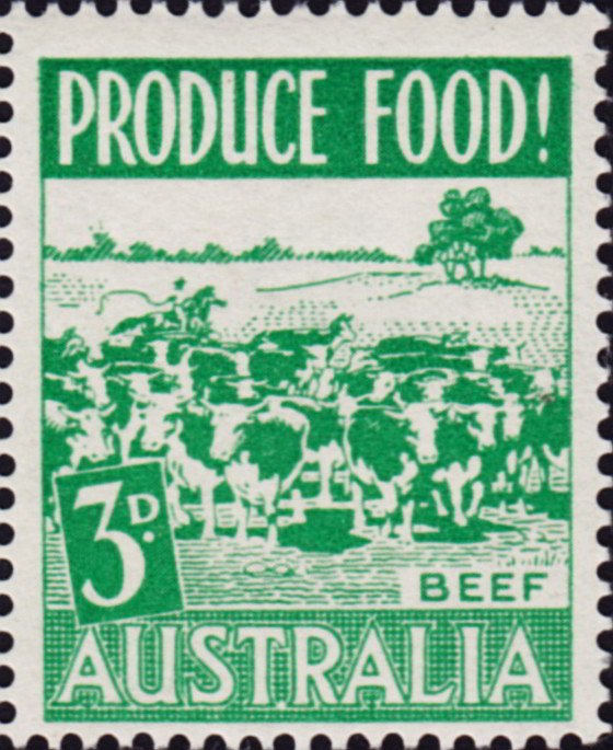 Cows. Beef