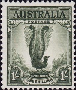 Stamp, Superb Lyrebird (Menura novaehollandiae), Australia,  , Birds, Animals (Fauna)