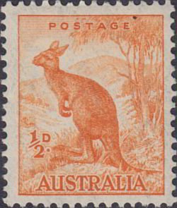 Red Kangaroo (Macropus rufus)