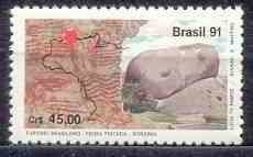Brazlilian Tourism - Pedra Pintada