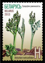 Stamp, Moonwort, Belarus,  