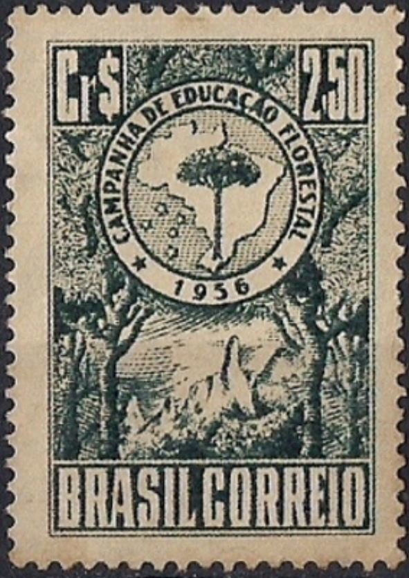 Campaign of ecological education