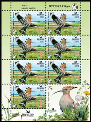 Hoopoe