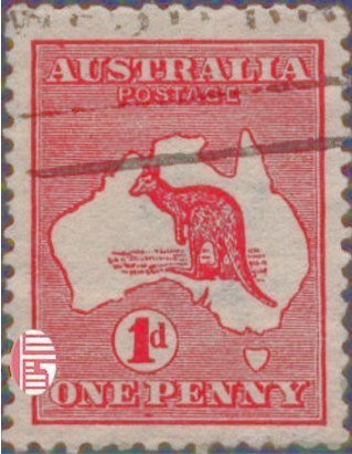 Kangaroo and map