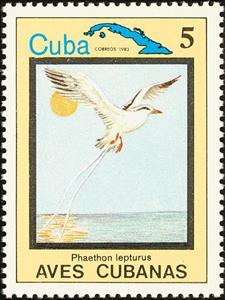 Stamp, White-tailed Tropicbird (Phaethon lepturus), Cuba,  , Birds, Animals (Fauna)