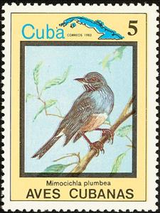 Stamp, Red-legged Thrush (Turdus plumbeus), Cuba,  , Birds, Animals (Fauna)