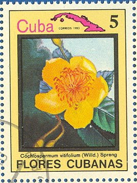 Stamp, Cochlospermum vitifolium, Cuba,  , Flowers, Plants (Flora)