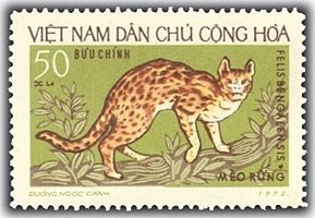 Stamp, Asian Leopard Cat (Felis bengalensis), Vietnam,  , Mammals, Cats, Animals (Fauna)