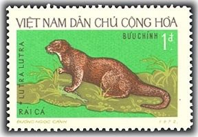 Eurasian Otter (Lutra lutra)