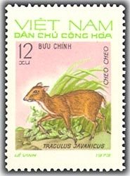 Stamp, Java Mousedeer (Tragulus javanicus), Vietnam,  , Mammals, Animals (Fauna), Deer