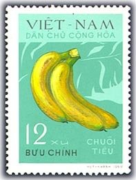 Bananas