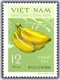 Bananas