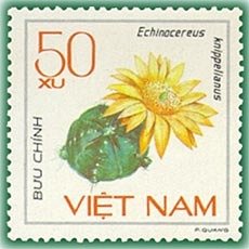 Stamp, Spinous cactus (Echinocereus knippelianus), Vietnam,  , Cacti