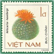 Stamp, Haselberg's cactus (Notocactus haselbergii), Vietnam,  , Cacti