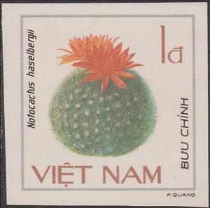 Stamp, Notocactus haselbergii, Vietnam,  , Cacti