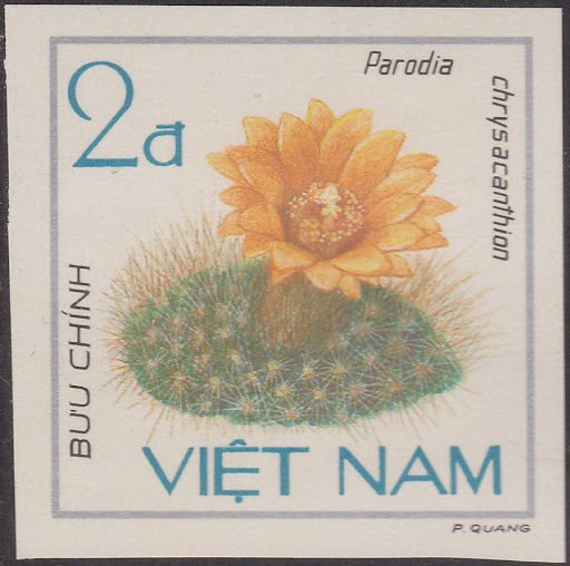 Parodia chrysacanthion