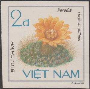 Stamp, Parodia chrysacanthion, Vietnam,  , Cacti