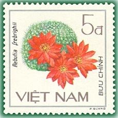 Stamp, Red flowered cactus (Rebutia frebrighii), Vietnam,  , Cacti