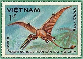 Rhamphorhynchus