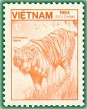Tiger (Panthera tigris)