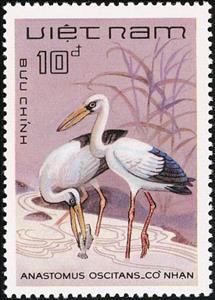 Stamp, Asian Openbill (Anastomus oscitans), Vietnam,  , Birds, Animals (Fauna)