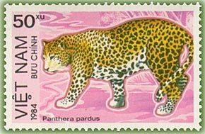 Stamp, Leopard (Panthera pardus), Vietnam,  , Animals (Fauna)