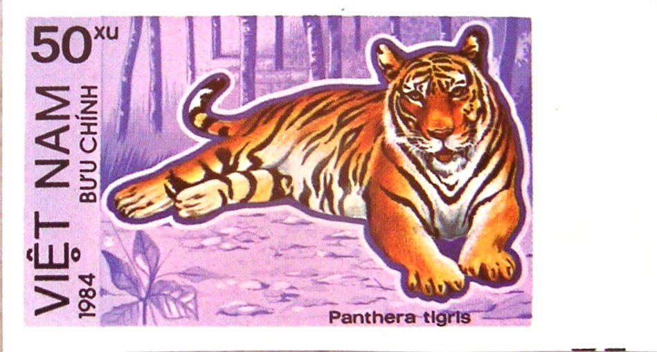 Tiger (Panthera tigris) - Imperforated