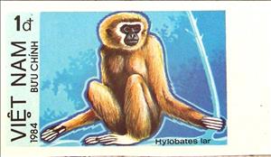 Stamp, Lar Gibbon (Hylobates lar) - Imperforated, Vietnam,  , Mammals, Monkeys, Animals (Fauna)