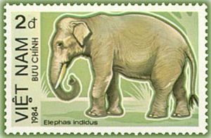 Elephant - Dark Green