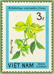 Stamp, Climbing Ylang Ylang (Artabotrys uncinatus), Vietnam,  , Flowers, Plants (Flora)