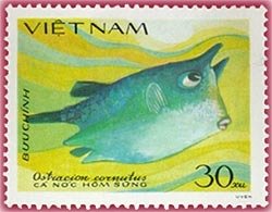 Longhorn Cowfish (Ostracion cornutus)
