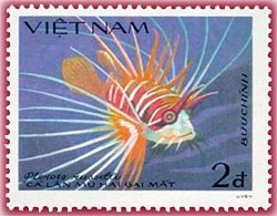 Russel's Lionfish (Pterois russelli)