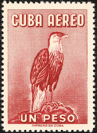 Northern Crested Caracara (Polyborus cheriway) 