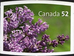 Stamp, Isabella, Syringa X prestoniae, Canada,  , Plants (Flora)