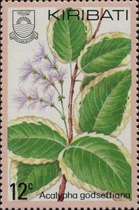 Stamp, Acalypha Godseffiana, Kiribati,  , Flowers