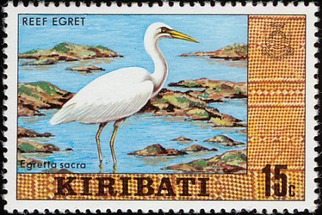 Pacific Reef Heron (Egretta sacra)
