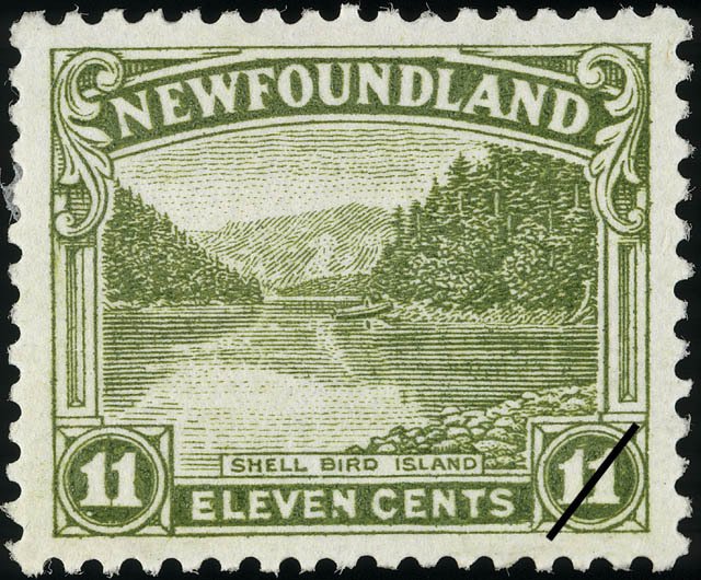 Shell Bird island
