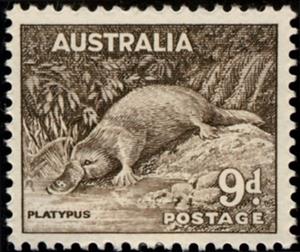Stamp, Platypus (Ornithorhynchus anatinus), Australia,  , Animals (Fauna)