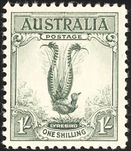 Stamp, Superb Lyrebird (Menura novaehollandiae), Australia,  , Birds, Animals (Fauna)