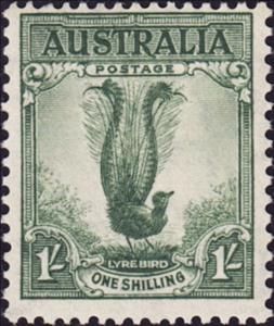 Stamp, Superb Lyrebird (Menura novaehollandiae), Australia,  , Birds, Animals (Fauna)