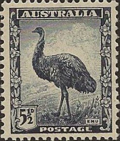 Emu (Dromaius novaehollandiae)