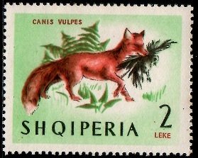 Stamp, Red Fox (Vulpes vulpes), Albania,  , Mammals, Foxes, Animals (Fauna)