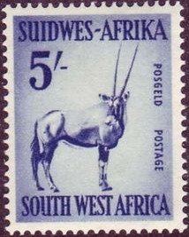 Gemsbok (Oryx gazella)