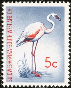 Stamp, Lesser Flamingo (Phoeniconaias minor), South-West Africa,  , Birds, Flamingos, Animals (Fauna)